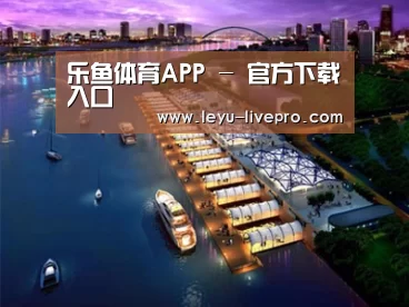 案例展示八