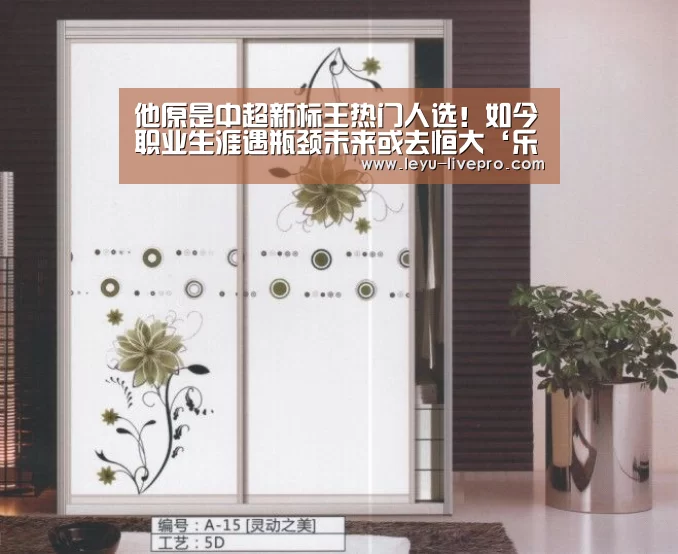 乐鱼电竞官网