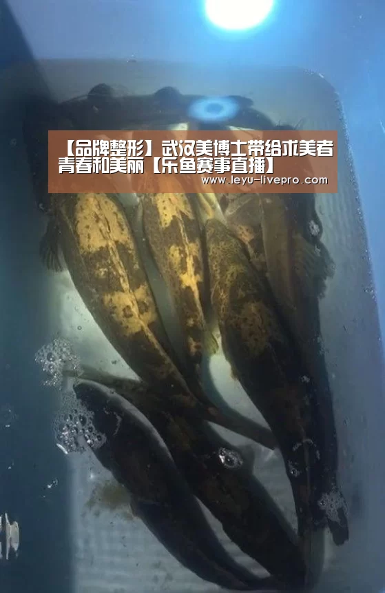 【品牌整形】武汉美博士带给求美者青春和美丽【乐鱼赛事直播】(图1) 乐鱼电竞直播